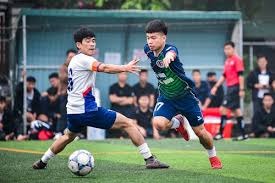 2026年足球世界杯必知六大要点